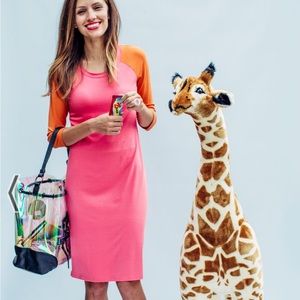 Sonnet James Colorblock Dress 💓